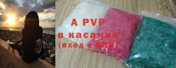 прущие грибы Богородск