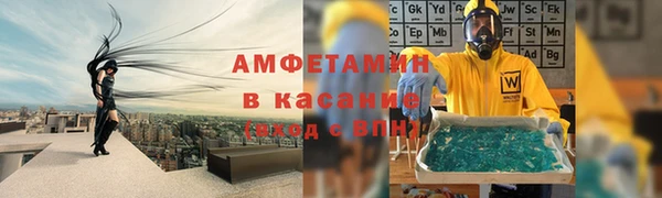 прущие грибы Богородск