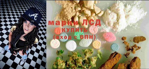 прущие грибы Богородск