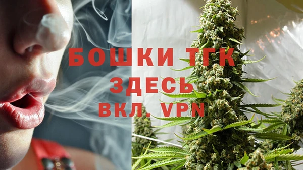 прущие грибы Богородск