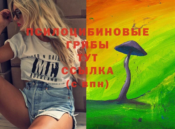 прущие грибы Богородск