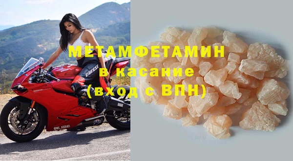 прущие грибы Богородск