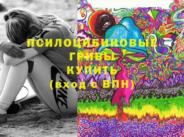 прущие грибы Богородск