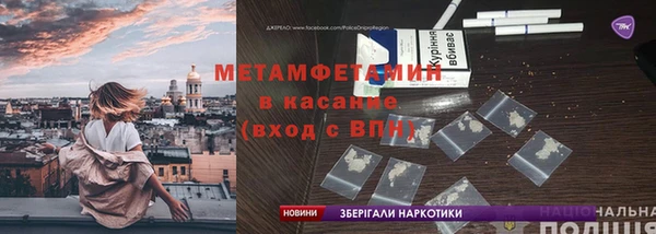 прущие грибы Богородск